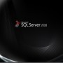 SQL Server 2008