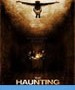Bambou - Haunting - Management